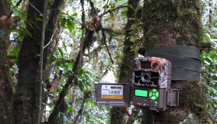 Seinthuk camera trap