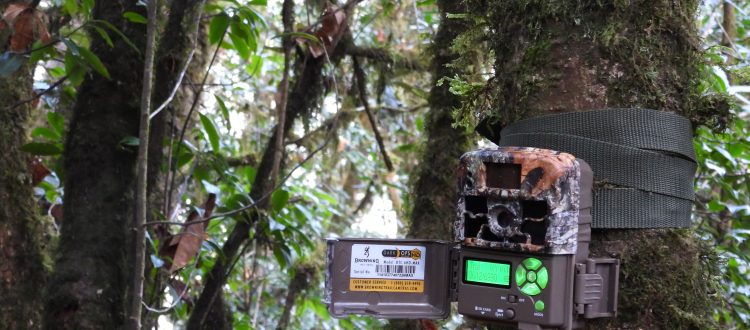 Seinthuk camera trap