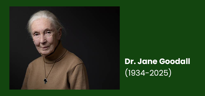 Jane Goodall