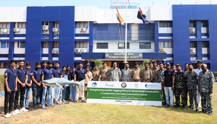 whale shark satellite tagging