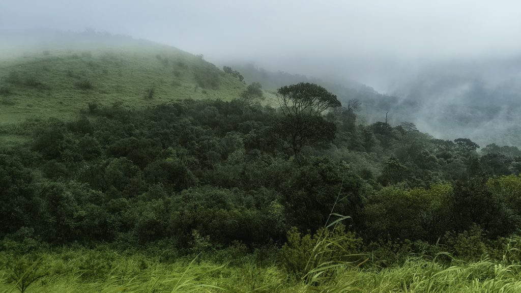 Wayanad