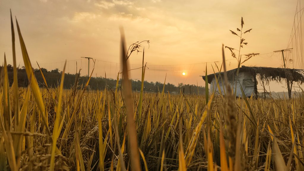 Wayanad