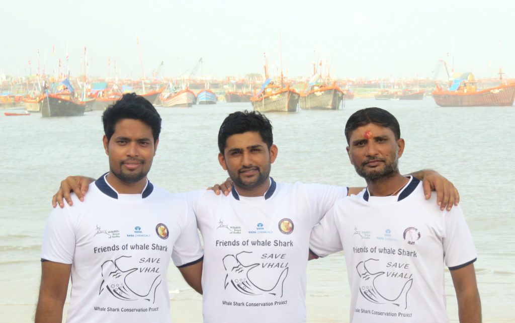 whale shark team