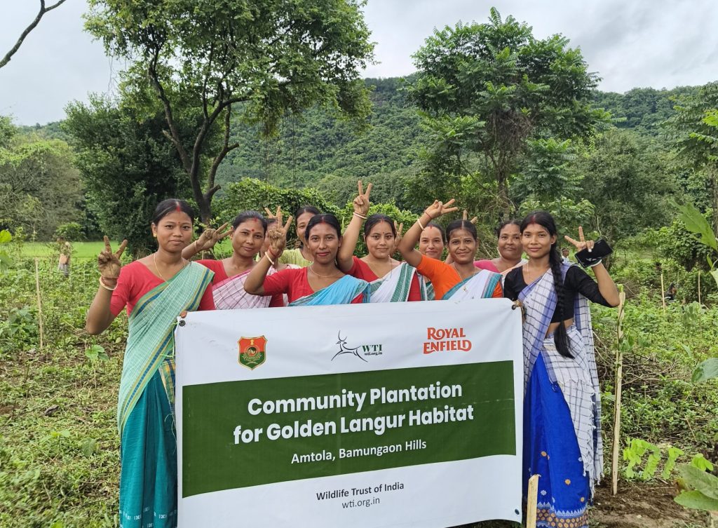 community plantation