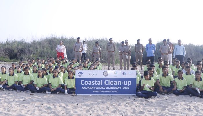 marine debris