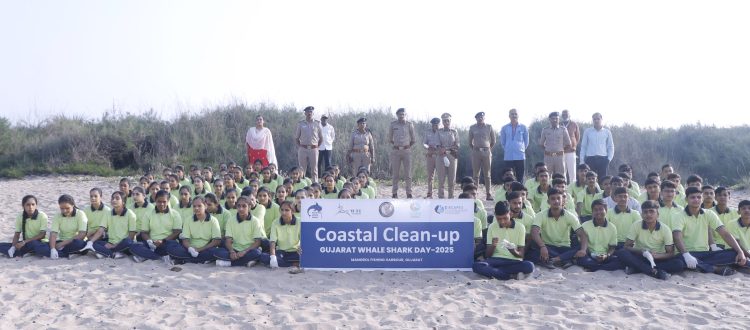 marine debris
