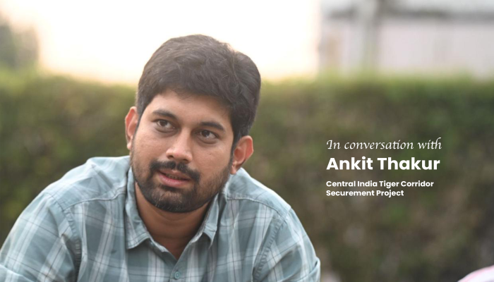 Ankit Thakur