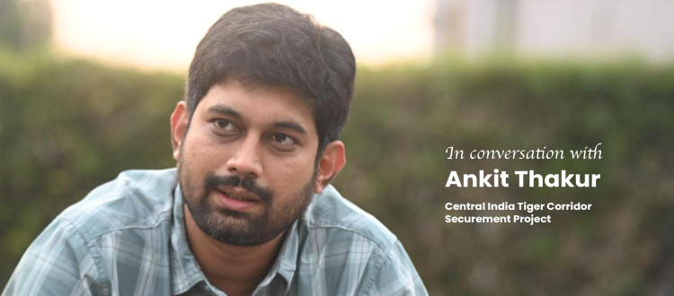 Ankit Thakur