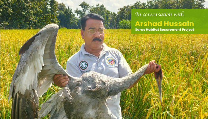 Arshad