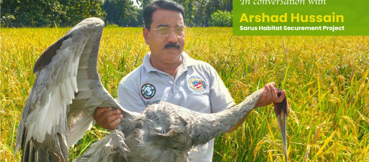Arshad