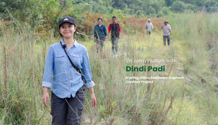 Dindi Padi