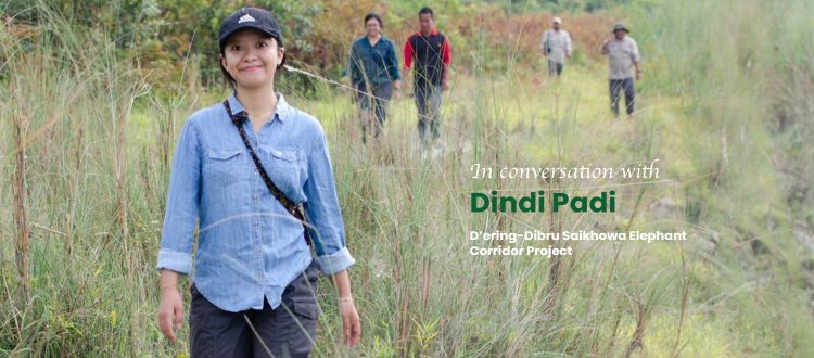 Dindi Padi