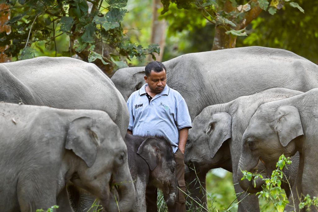animal keeper