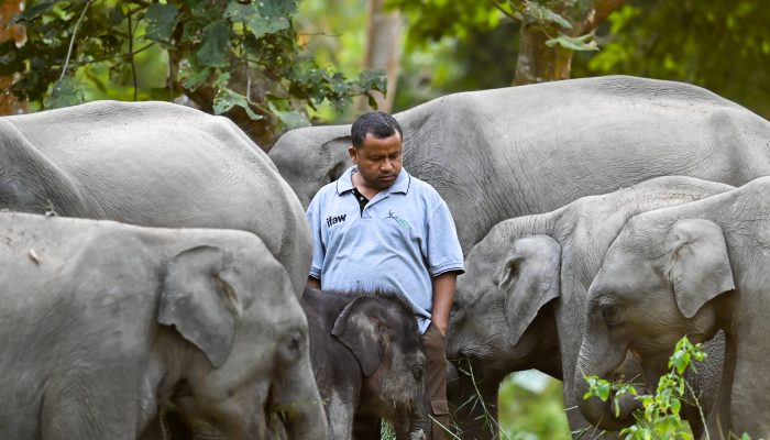 animal keeper