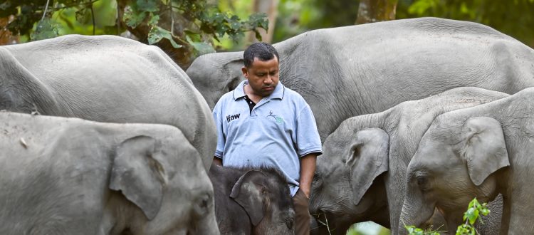 animal keeper