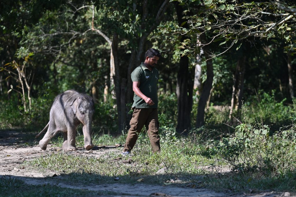CWRC, Kaziranga
